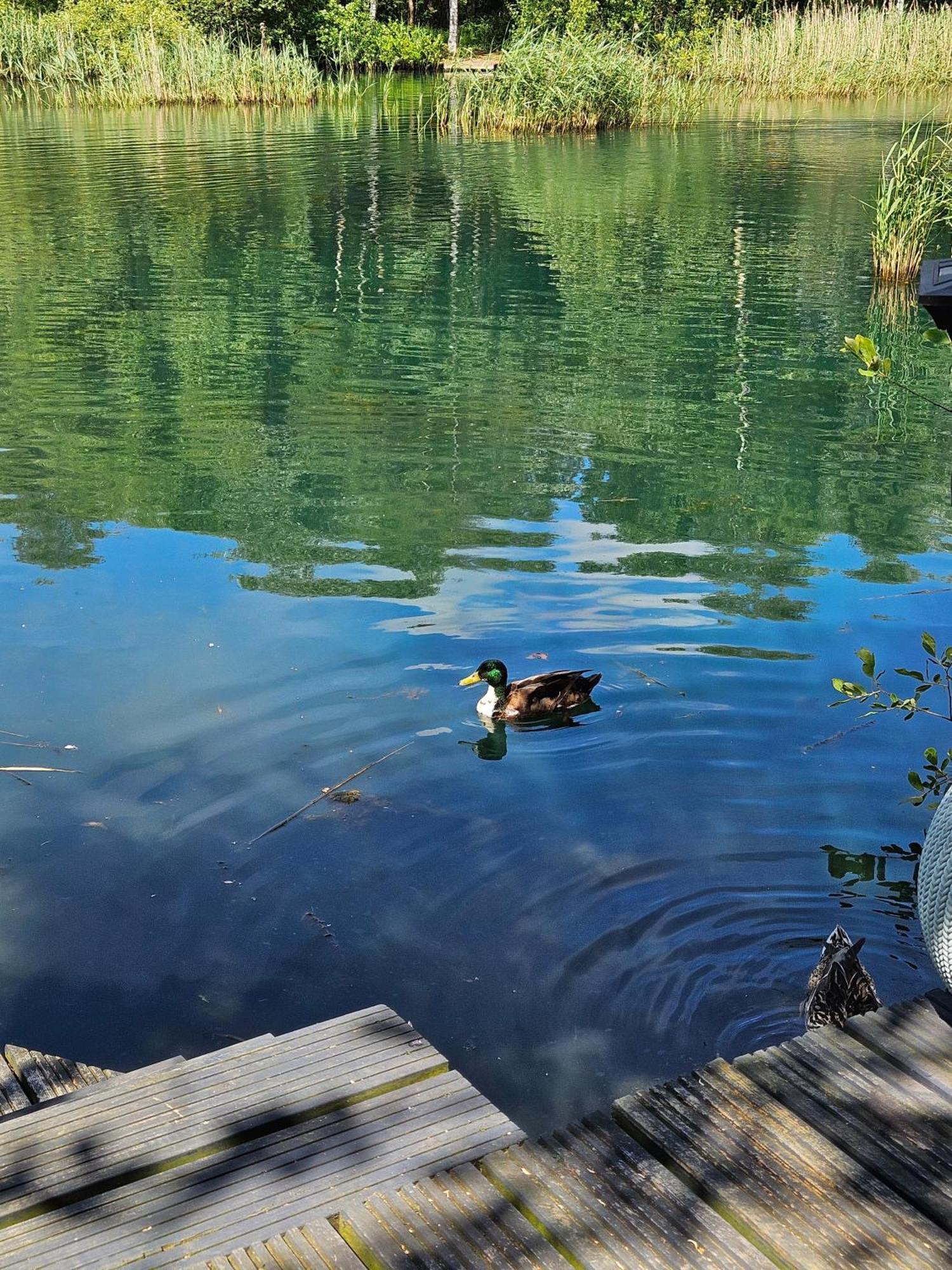 Holiday home Luxury Lakeside Caravan With Hottub And Private Fishing Peg, Lakes *