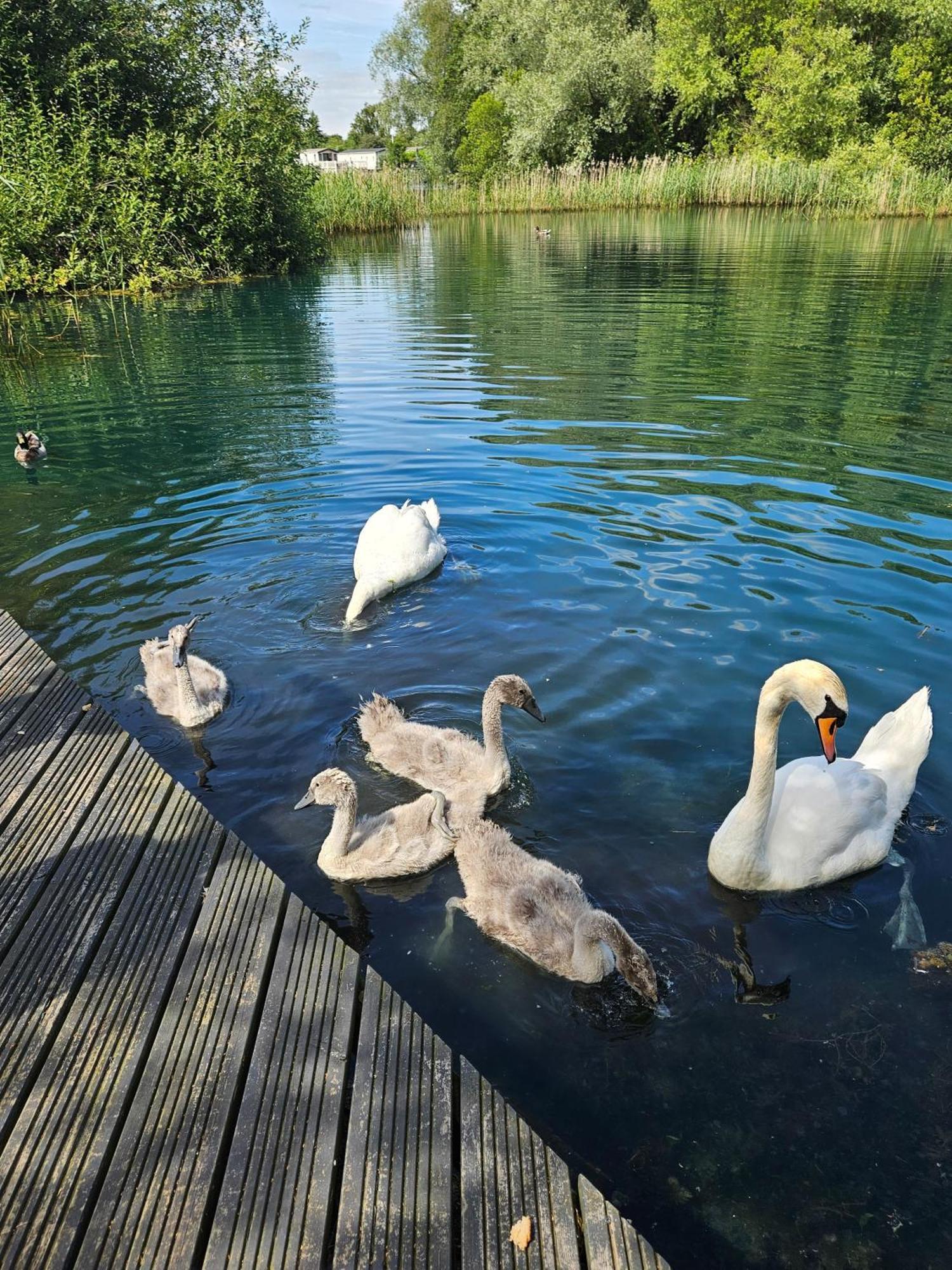 Holiday home Luxury Lakeside Caravan With Hottub And Private Fishing Peg, Lakes Tattershall
